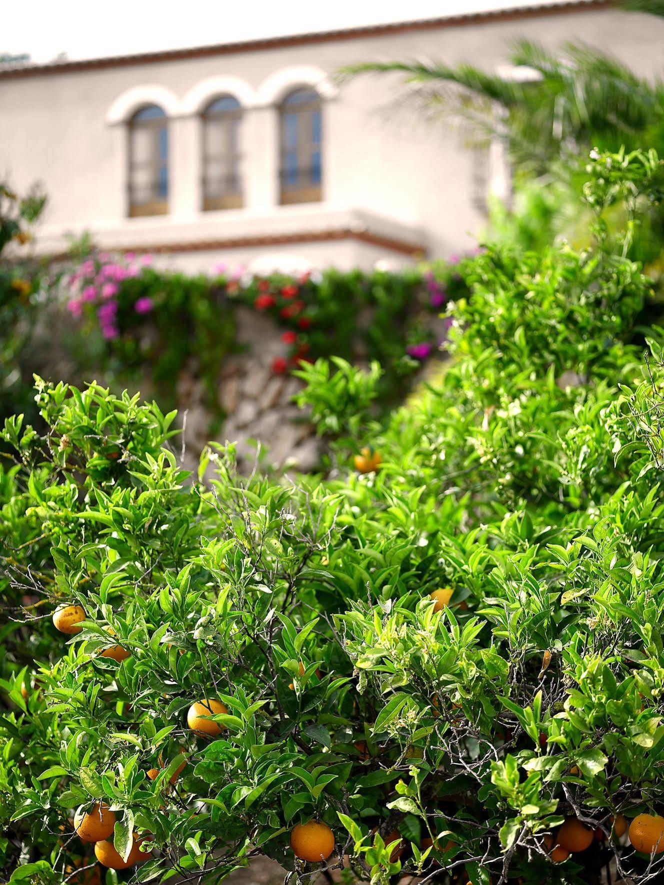 Agroturisme Can Planells Sant Miquel de Balansat Exteriér fotografie